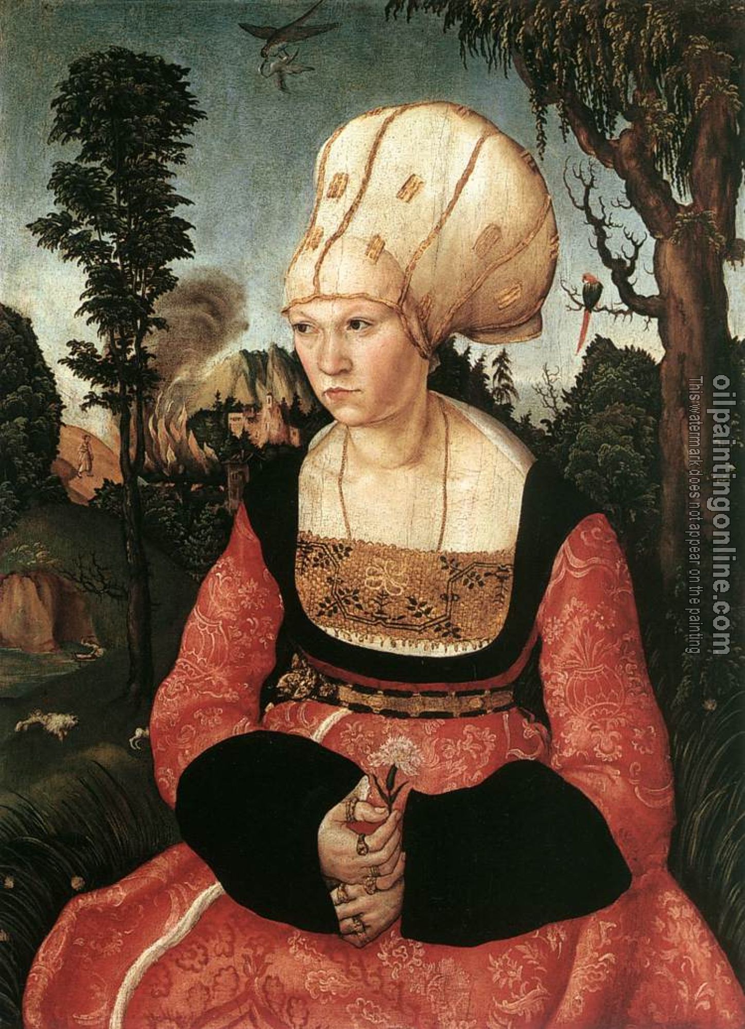 Lucas il Vecchio Cranach - Portrait of Anna Cuspinian